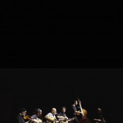 اجرای پژوهشی جشنواره موسیقی جز ایران (جز تیوال) | عکس