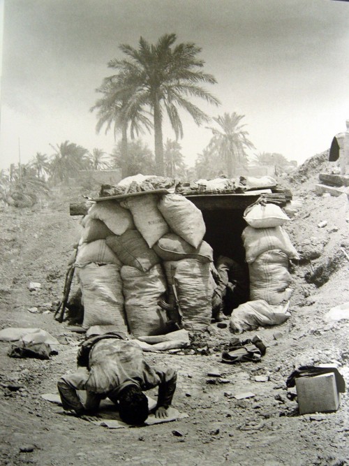 عکس فیلم کوتاه پلاک ۳۱۵