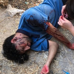 فیلم کوتاه مداد شمعی ها آدم نمی کشند | عکس