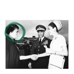 گردش سعدآباد | عکس
