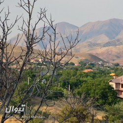 گردش یک سفر یک کتاب |روستای زان - همراه با امیرحسن چهلتن| | عکس