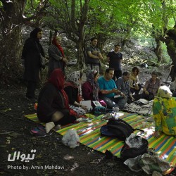 گردش یک سفر یک کتاب |جنگل نقله بر - همراه با عبدالجبار کاکایی| | عکس