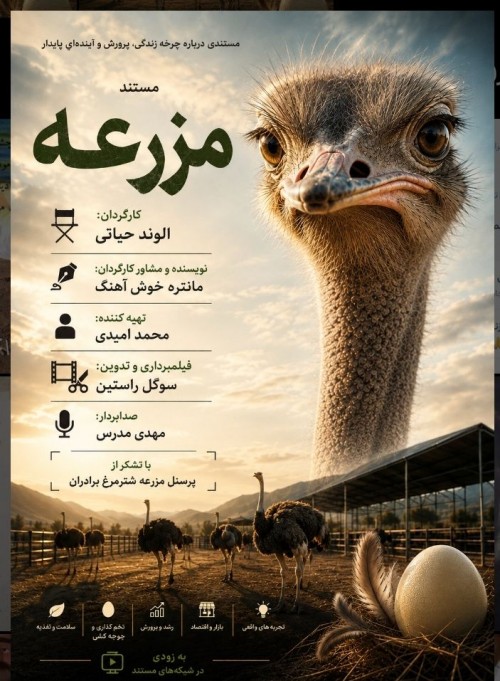 عکس مستند مزرعه