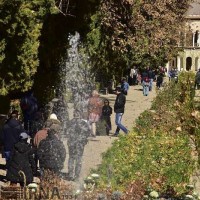 پاییز باغ شاهزاده ماهان  | عکس