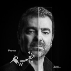 نمایش جغد | عکس