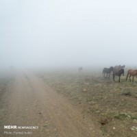 ییلاق سفیدخانی | عکس