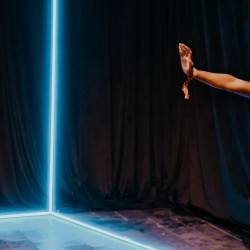 نمایش ماجرای عجیب سگی در شب | عکس