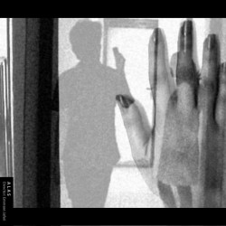 فیلم کوتاه الس | عکس