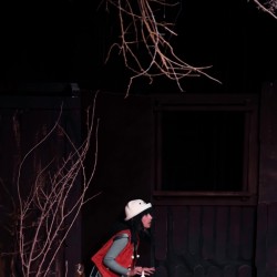 نمایش مردی با گربه‌ی عروسکی | عکس