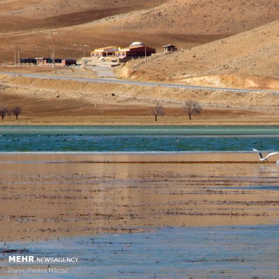 زمستان تالاب بین المللی چغاخور | عکس