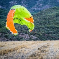 طبیعت تابستانی جنگل اولنگ و چشمه گل رامیان | عکس