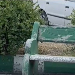 فیلم کوتاه غبطه | عکس