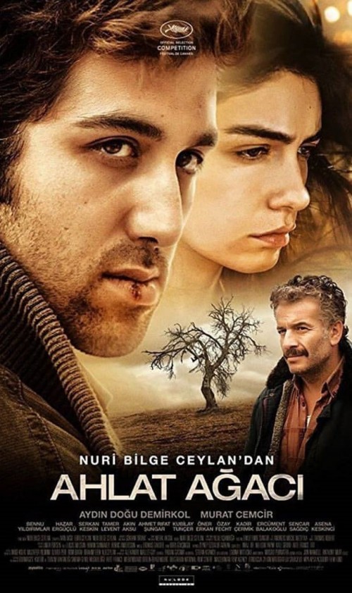 عکس فیلم درخت گلابی وحشی