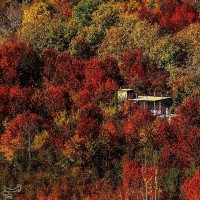 طبیعت پاییزی روستای سیلوار همدان | عکس