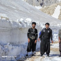 رهایی «عسل کشان» از برف | عکس