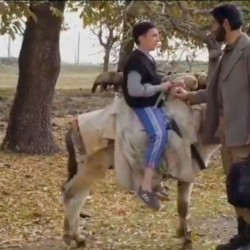 سریال روز های ابدی | عکس