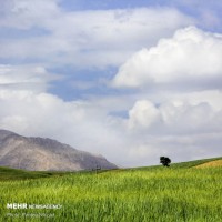  طبیعت زیبای شهرستان اردل | عکس