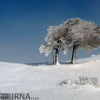 طبیعت برفی ارتفاعات رودبار گیلان | عکس