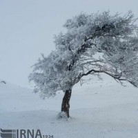 طبیعت برفی ارتفاعات رودبار گیلان | عکس