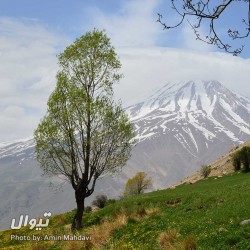 گردش یک سفر یک کتاب |روستای نوا - با مریم مفتاحی| | عکس