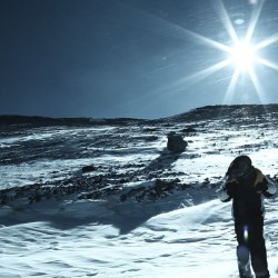 فیلم ریشه | عکس