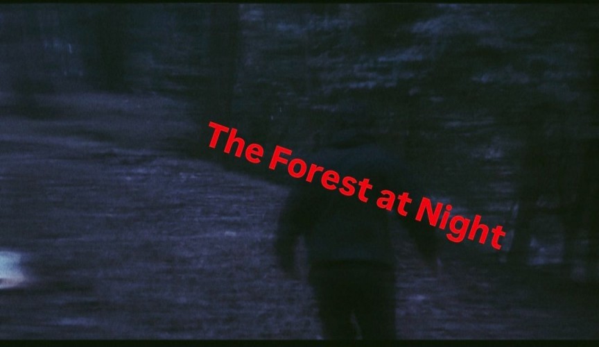 عکس فیلم کوتاه جنگل شب