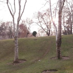 فیلم کوتاه آرزوی آبی | عکس