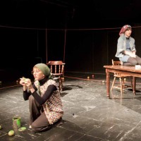 گزارش تصوری نمایش اثر پرتوهای گاما بر روی گلهای همیشه بهار ساکنین کرۀ ماه / عکاس: بشیر زاهدی - علیرضا مویدی | عکس