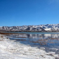 زمستان تالاب بین المللی چغاخور | عکس