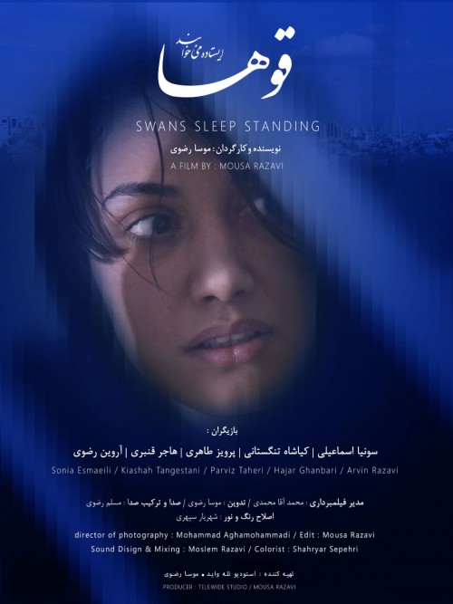 عکس فیلم کوتاه قوها ایستاده می‌خوابند