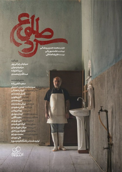 عکس فیلم کوتاه طلوع سرد