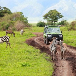 گردش حیات‌وحش کنیا | عکس