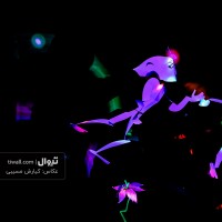 نمایش او که جان می دهد | گزارش تصویری تیوال از نمایش او که جان می دهد / عکاس: کیارش مسیبی | عکس