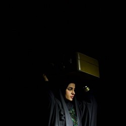 نمایش زیر درخت یاس | عکس