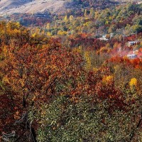 طبیعت پاییزی روستای سیلوار همدان | عکس