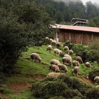 اولُسِبلنگاه؛ بهشتی بالای ابر‌ها | عکس