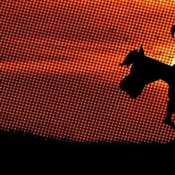 فیلم کوتاه سه گانه موشن کمیک | عکس