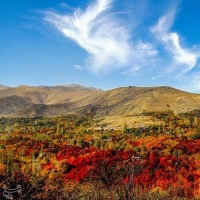 طبیعت پاییزی روستای سیلوار همدان | عکس