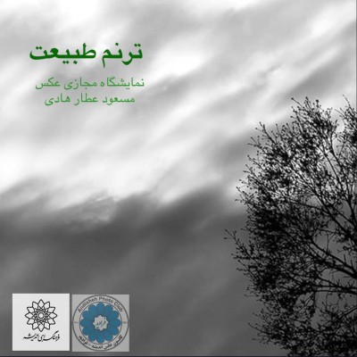نخستین نمایشگاه انفرادی عکس مسعود عطارهادی؛ «ترنم طبیعت» برگزار خواهد شد | عکس