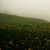 روستای سوباتان | عکس
