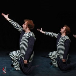 نمایش کارمای شقایق دیواری | عکس