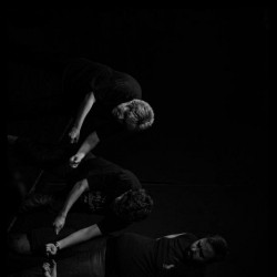 نمایش ماجرای عجیب سگی در شب | عکس