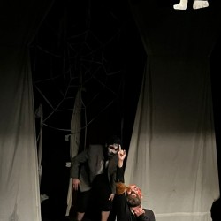 نمایش گوزن زرد | عکس