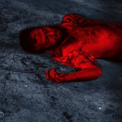 فیلم کوتاه فهرست حیوانات | عکس