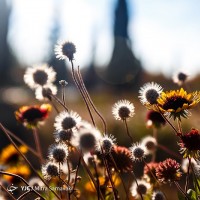 پاییز در باغ گیاه‌شناسی | عکس