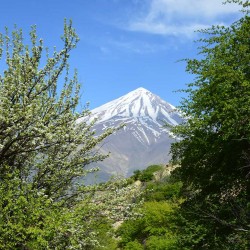 گردش یک سفر یک کتاب |روستای نوا - با مریم مفتاحی| | عکس