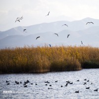 زریوار؛ بزرگترین چشمه آب شیرین ایران | عکس