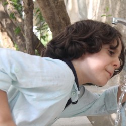 فیلم کوتاه زرافه | عکس