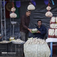 جشنواره سیر و موسیر سولان همدان  | عکس