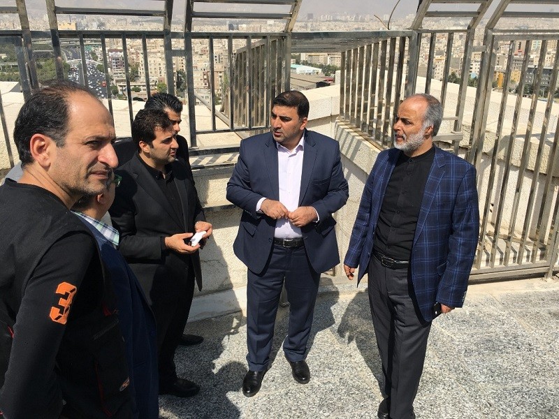 مدیر عامل بنیاد رودکی از برج آزادی بازدید کرد | عکس